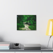 Load image into Gallery viewer, Sleepy Hollow - Wooded Clearing - Greenery and Leaves - Oil Sketch on Canvas | Canvas Gallery Wraps
