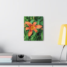 Load image into Gallery viewer, Flower Garden Photography - Nature Art - Photographic Art - Oil Sketch on Canvas - Canvas Gallery Wraps
