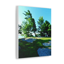 Load image into Gallery viewer, Tree Art - Canadian Art and Photography - Oil Sketch on Canvas | Canvas Gallery Wraps
