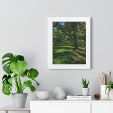 Load image into Gallery viewer, TTC Streetcar High Park - Iconic Toronto Scene - Photographic Art - Framed Vertical Poster
