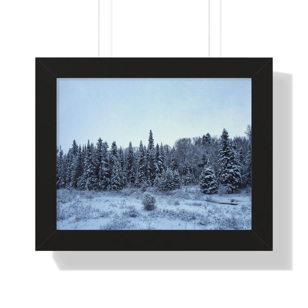 Winter Snowfall - Snowcapped Trees - Northern Fir Tress - Photographic Art | Framed Horizontal Poster