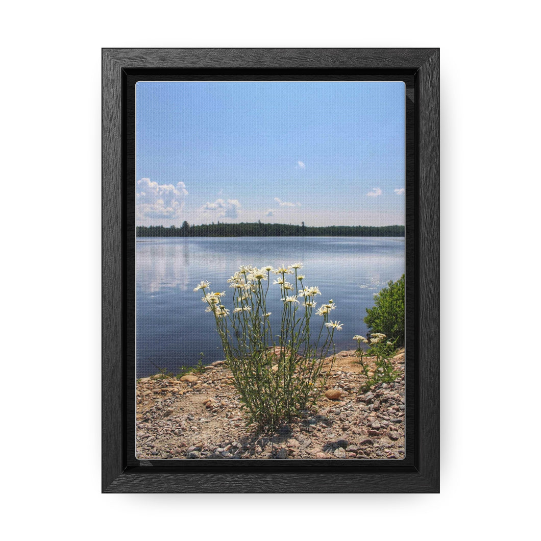 Flower Nature Photography - Nordic Daffodils - Oil Sketch on Canvas - Gallery Canvas Wraps, Vertical Frame