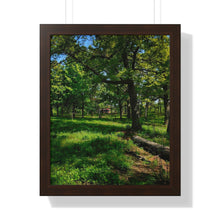 Load image into Gallery viewer, TTC Streetcar High Park - Iconic Toronto Scene - Photographic Art - Framed Vertical Poster
