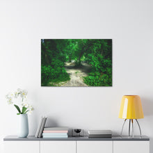 Load image into Gallery viewer, Sleepy Hollow - Wooded Clearing - Greenery and Leaves - Oil Sketch on Canvas | Canvas Gallery Wraps
