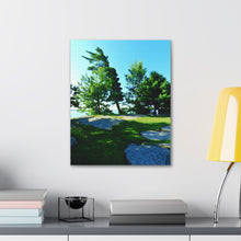 Load image into Gallery viewer, Tree Art - Canadian Art and Photography - Oil Sketch on Canvas | Canvas Gallery Wraps
