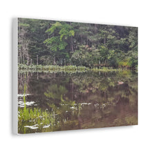 Load image into Gallery viewer, Duck In Calm Water - Northern Ontario - Wilderness Nature Scene - Oil Sketch on Canvas | Canvas Gallery Wraps
