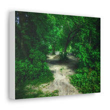 Load image into Gallery viewer, Sleepy Hollow - Wooded Clearing - Greenery and Leaves - Oil Sketch on Canvas | Canvas Gallery Wraps
