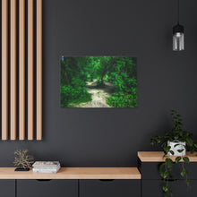 Load image into Gallery viewer, Sleepy Hollow - Wooded Clearing - Greenery and Leaves - Oil Sketch on Canvas | Canvas Gallery Wraps
