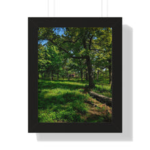 Load image into Gallery viewer, TTC Streetcar High Park - Iconic Toronto Scene - Photographic Art - Framed Vertical Poster
