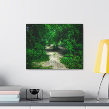 Load image into Gallery viewer, Sleepy Hollow - Wooded Clearing - Greenery and Leaves - Oil Sketch on Canvas | Canvas Gallery Wraps
