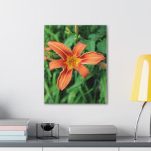 Load image into Gallery viewer, Flower Garden Photography - Nature Art - Photographic Art - Oil Sketch on Canvas - Canvas Gallery Wraps
