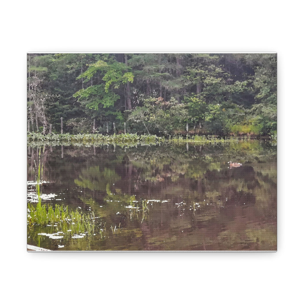 Duck In Calm Water - Northern Ontario - Wilderness Nature Scene - Oil Sketch on Canvas | Canvas Gallery Wraps