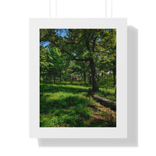 Load image into Gallery viewer, TTC Streetcar High Park - Iconic Toronto Scene - Photographic Art - Framed Vertical Poster
