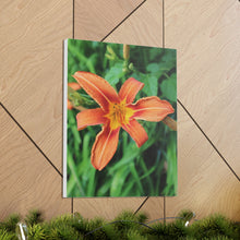 Load image into Gallery viewer, Flower Garden Photography - Nature Art - Photographic Art - Oil Sketch on Canvas - Canvas Gallery Wraps
