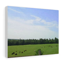 Load image into Gallery viewer, Cows Farm Field - Ottawa Valley Scene - Photography - Oil Sketch on Canvas |  Gallery Wraps
