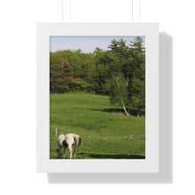 Load image into Gallery viewer, Horse and Hillside - Country Setting - Photography - Photographic Art - Framed Vertical Poster
