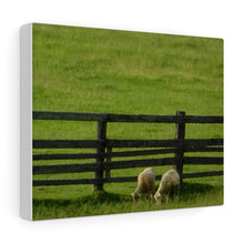 Load image into Gallery viewer, Pair of Goats - Greenery Farmers Field - Wine and Cheese Piece - Oil Sketch on Canvas | Canvas Gallery Wraps
