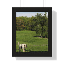 Load image into Gallery viewer, Horse and Hillside - Country Setting - Photography - Photographic Art - Framed Vertical Poster
