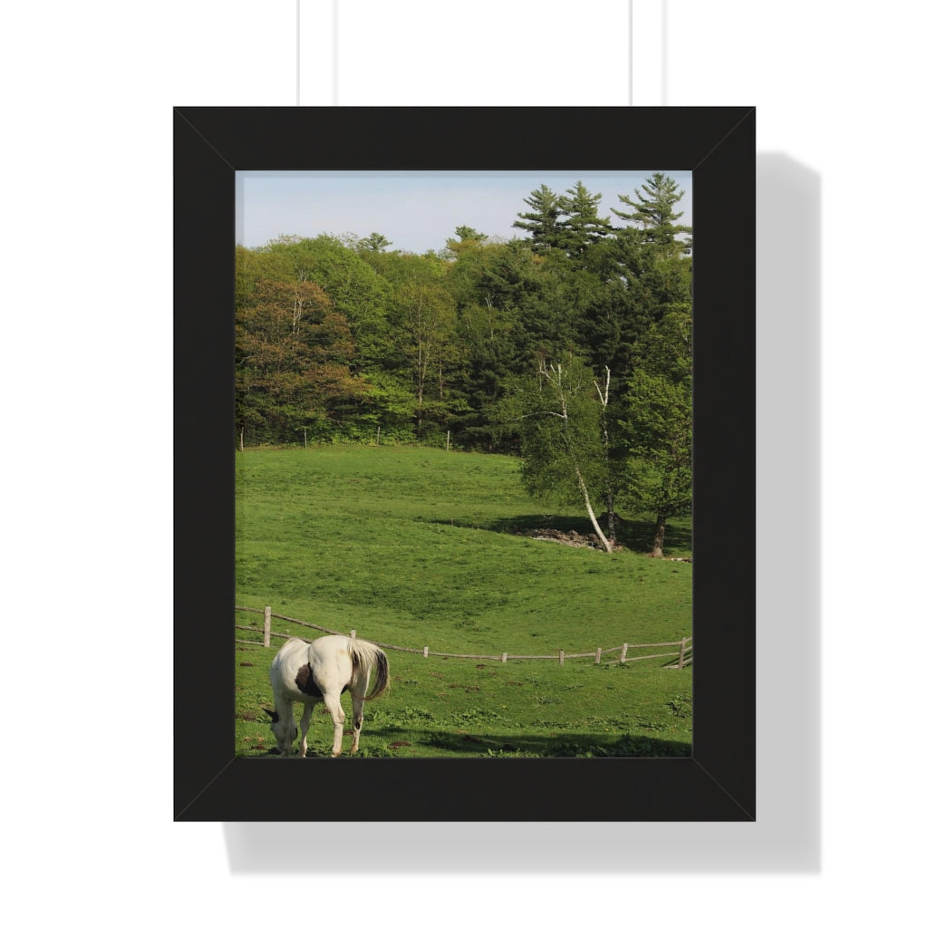 Horse and Hillside - Country Setting - Photography - Photographic Art - Framed Vertical Poster