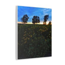 Load image into Gallery viewer, Three Trees Sunset - Nature Wilderness Photography - Art and Photography - Oil Sketch on Canvas - Canvas Gallery Wraps
