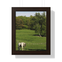 Load image into Gallery viewer, Horse and Hillside - Country Setting - Photography - Photographic Art - Framed Vertical Poster
