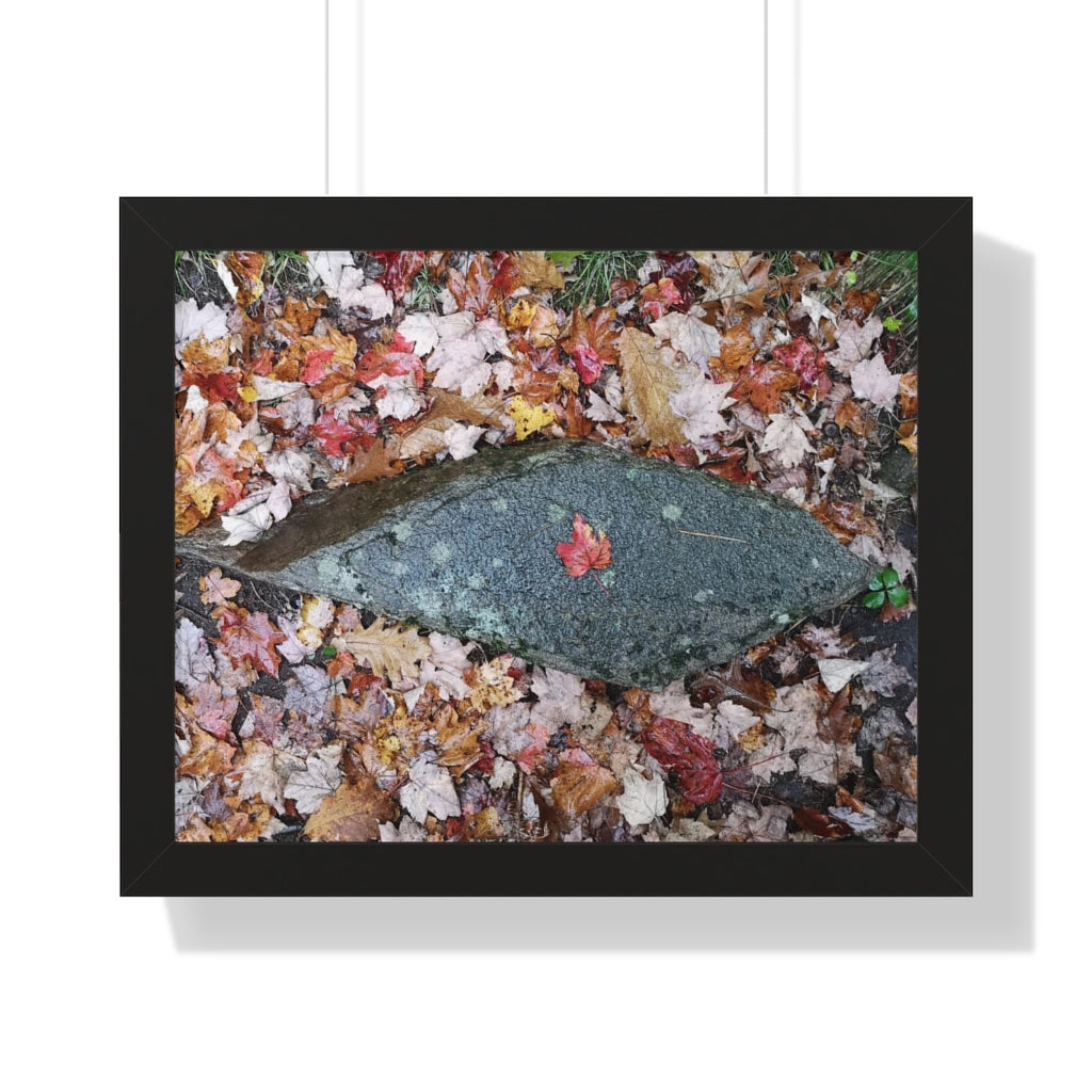 Canadiana Piece - Red Maple Leaf - Autumn Scene | Framed Horizontal Poster