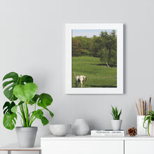 Load image into Gallery viewer, Horse and Hillside - Country Setting - Photography - Photographic Art - Framed Vertical Poster
