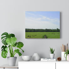 Load image into Gallery viewer, Cows Farm Field - Ottawa Valley Scene - Photography - Oil Sketch on Canvas |  Gallery Wraps
