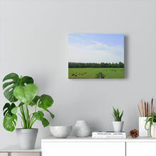 Load image into Gallery viewer, Cows Farm Field - Ottawa Valley Scene - Photography - Oil Sketch on Canvas |  Gallery Wraps
