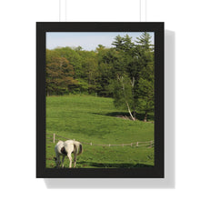 Load image into Gallery viewer, Horse and Hillside - Country Setting - Photography - Photographic Art - Framed Vertical Poster
