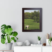 Load image into Gallery viewer, Horse and Hillside - Country Setting - Photography - Photographic Art - Framed Vertical Poster
