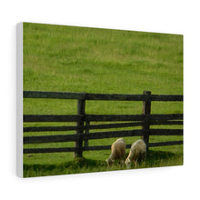 Load image into Gallery viewer, Pair of Goats - Greenery Farmers Field - Wine and Cheese Piece - Oil Sketch on Canvas | Canvas Gallery Wraps
