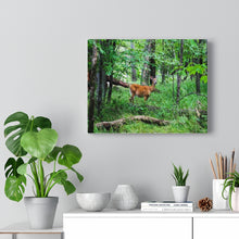 Load image into Gallery viewer, Lone Deer Fawn - Canadian Wilderness Scene - Outdoors - Oil Sketch on Canvas |  Gallery Wraps
