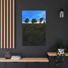 Load image into Gallery viewer, Three Trees Sunset - Nature Wilderness Photography - Art and Photography - Oil Sketch on Canvas - Canvas Gallery Wraps
