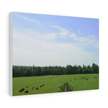 Load image into Gallery viewer, Cows Farm Field - Ottawa Valley Scene - Photography - Oil Sketch on Canvas |  Gallery Wraps
