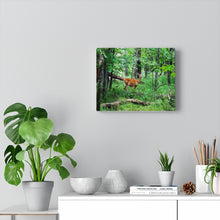 Load image into Gallery viewer, Lone Deer Fawn - Canadian Wilderness Scene - Outdoors - Oil Sketch on Canvas |  Gallery Wraps
