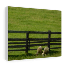 Load image into Gallery viewer, Pair of Goats - Greenery Farmers Field - Wine and Cheese Piece - Oil Sketch on Canvas | Canvas Gallery Wraps
