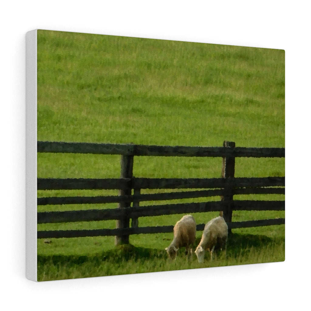 Pair of Goats - Greenery Farmers Field - Wine and Cheese Piece - Oil Sketch on Canvas | Canvas Gallery Wraps