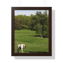 Load image into Gallery viewer, Horse and Hillside - Country Setting - Photography - Photographic Art - Framed Vertical Poster
