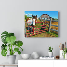 Load image into Gallery viewer, Horse Barn Photograph - Farm Country - Northern Ontario - Oil Sketch on Canvas |  Gallery Wraps
