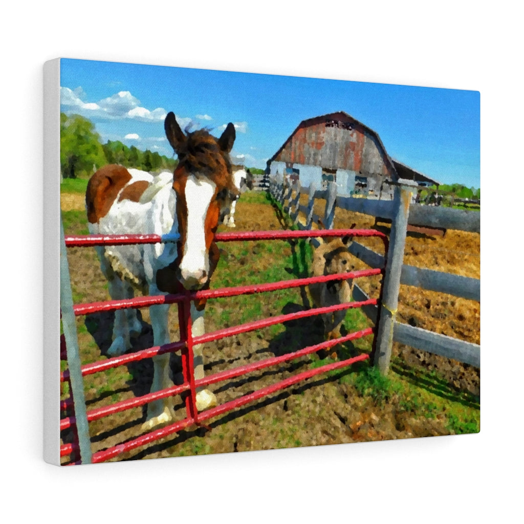 Horse Barn Photograph - Farm Country - Northern Ontario - Oil Sketch on Canvas |  Gallery Wraps