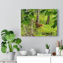 Load image into Gallery viewer, Two Fawns In Clearing - Canadian Wilderness Scene - Wildlife In the Forest - Oil Sketch on Canvas | Canvas Gallery Wraps
