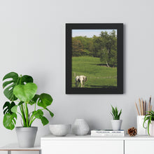 Load image into Gallery viewer, Horse and Hillside - Country Setting - Photography - Photographic Art - Framed Vertical Poster
