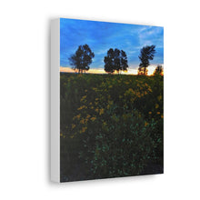 Load image into Gallery viewer, Three Trees Sunset - Nature Wilderness Photography - Art and Photography - Oil Sketch on Canvas - Canvas Gallery Wraps
