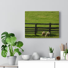 Load image into Gallery viewer, Pair of Goats - Greenery Farmers Field - Wine and Cheese Piece - Oil Sketch on Canvas | Canvas Gallery Wraps
