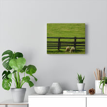 Load image into Gallery viewer, Pair of Goats - Greenery Farmers Field - Wine and Cheese Piece - Oil Sketch on Canvas | Canvas Gallery Wraps
