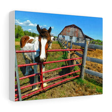 Load image into Gallery viewer, Horse Barn Photograph - Farm Country - Northern Ontario - Oil Sketch on Canvas |  Gallery Wraps
