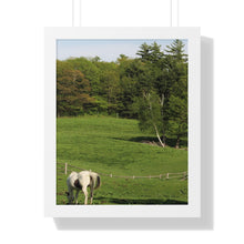 Load image into Gallery viewer, Horse and Hillside - Country Setting - Photography - Photographic Art - Framed Vertical Poster
