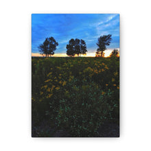 Load image into Gallery viewer, Three Trees Sunset - Nature Wilderness Photography - Art and Photography - Oil Sketch on Canvas - Canvas Gallery Wraps
