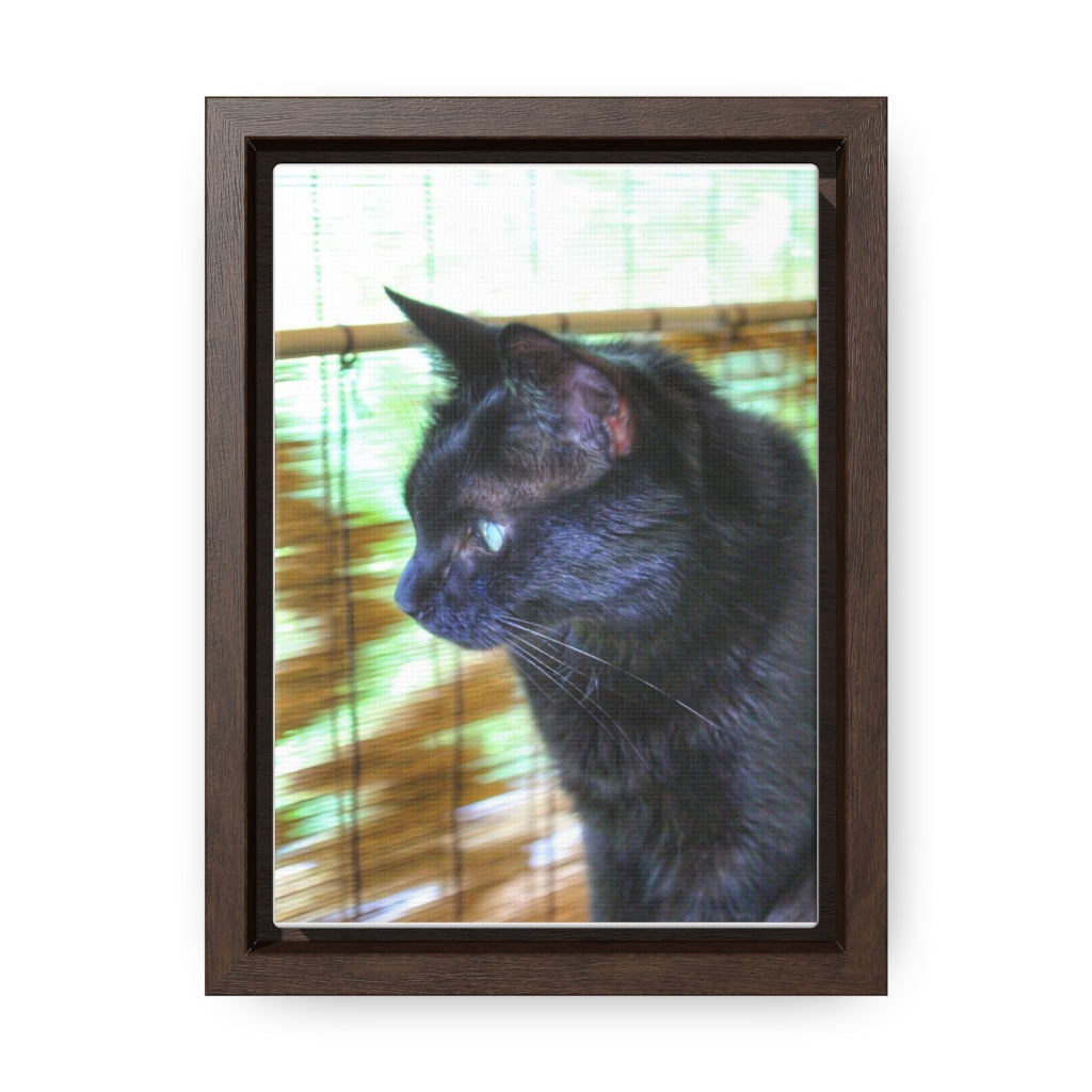 Cat Photo - Animal Photography - Fur Coat - Gallery Canvas Wraps, Vertical Frame